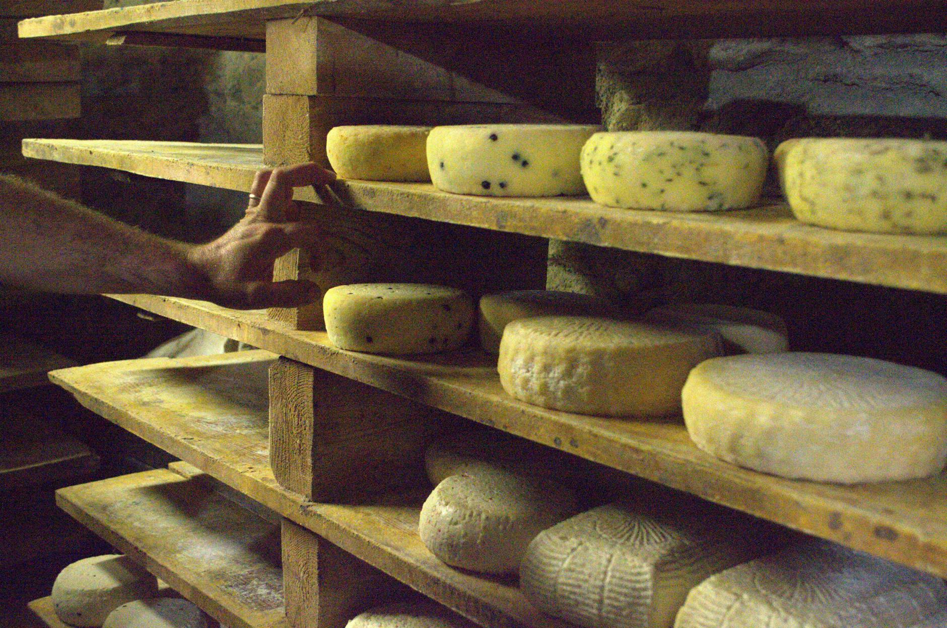abnehmen mit yamswurzel: die vielseitige wunderknolle mit gesundheitlichen vorteilen 4 eroica festival formaggio d'alpeggio