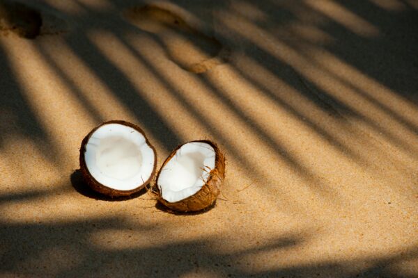 a coconut cut in half on sand zitronenwasser