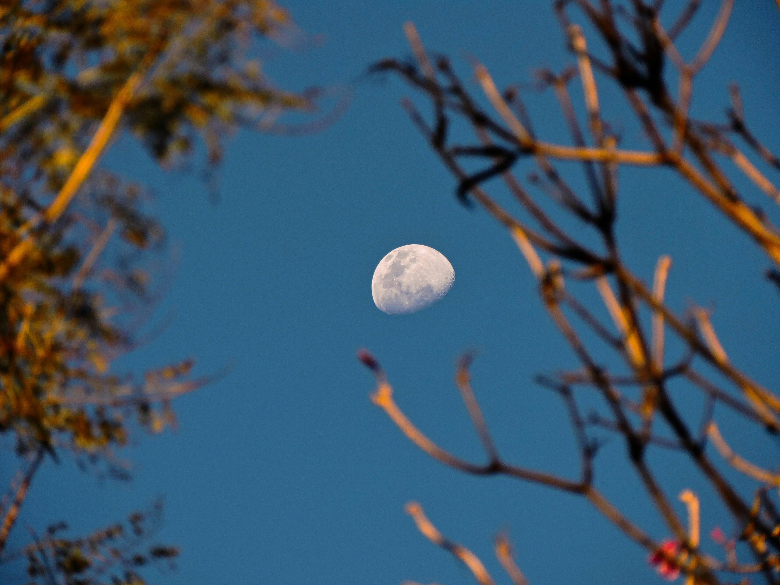 das geheimnis des erfolgreichen abnehmens jenseits der 40: tipps und strategien für jede altersgruppe 3 kostenloses stock foto zu abnehmender mond, blauer himmel, hell