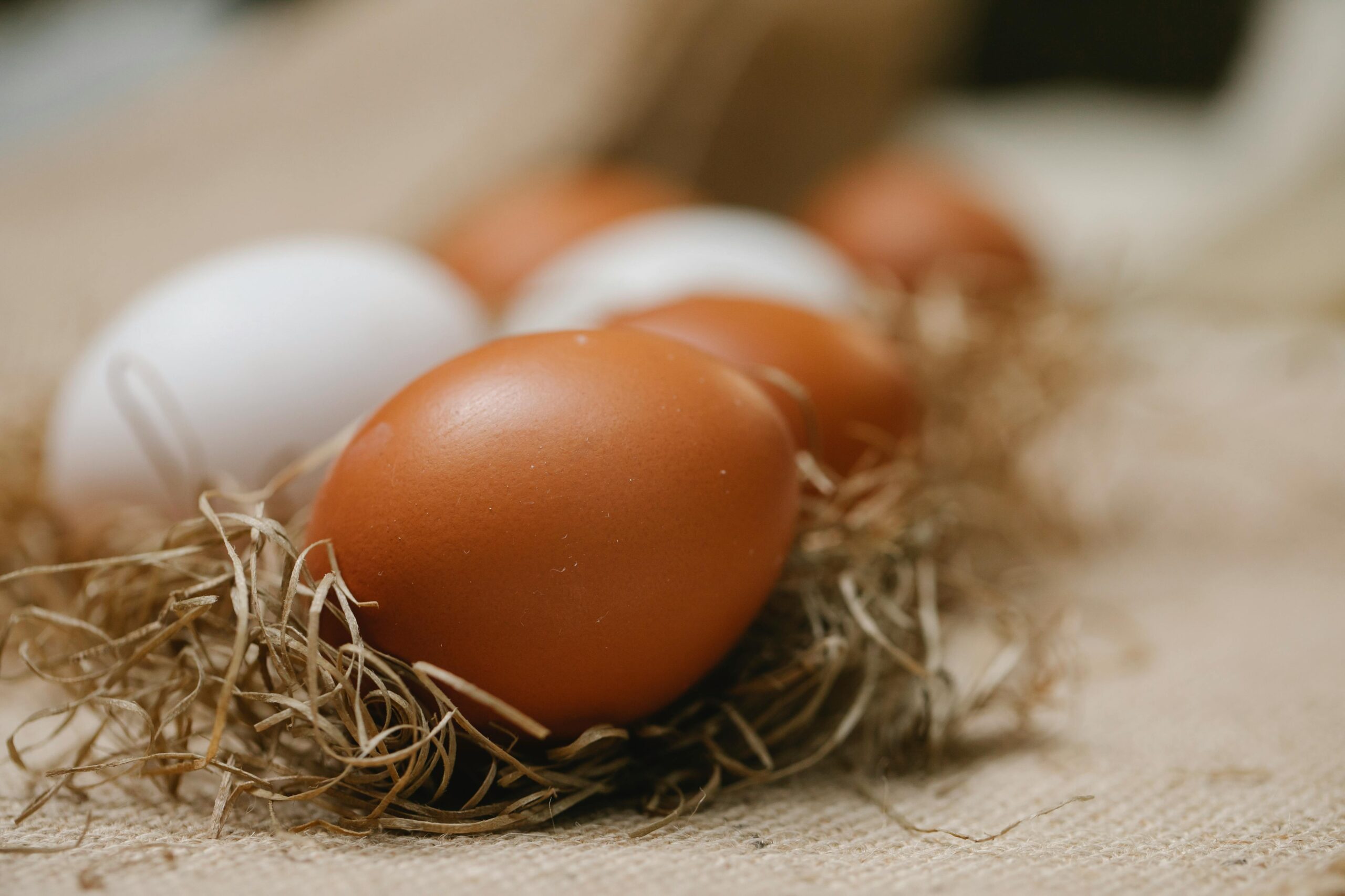 diäten im fokus: gesund abnehmen und wohlfühlen durch gezielte ernährung 2 braunes ei auf braunem nest